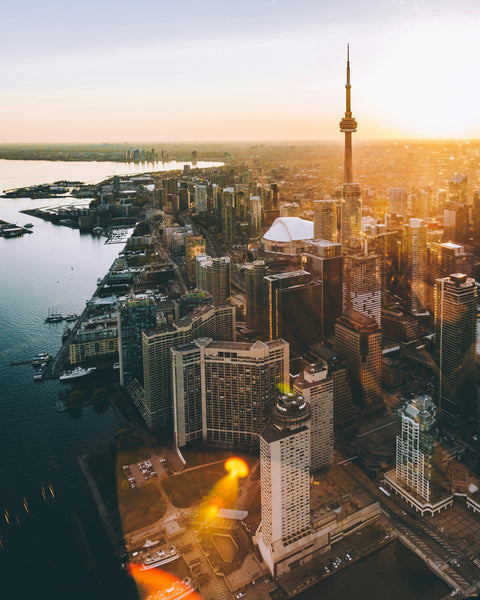 Transformation of Canadian Real Estate Values: August 2024 vs. 2023